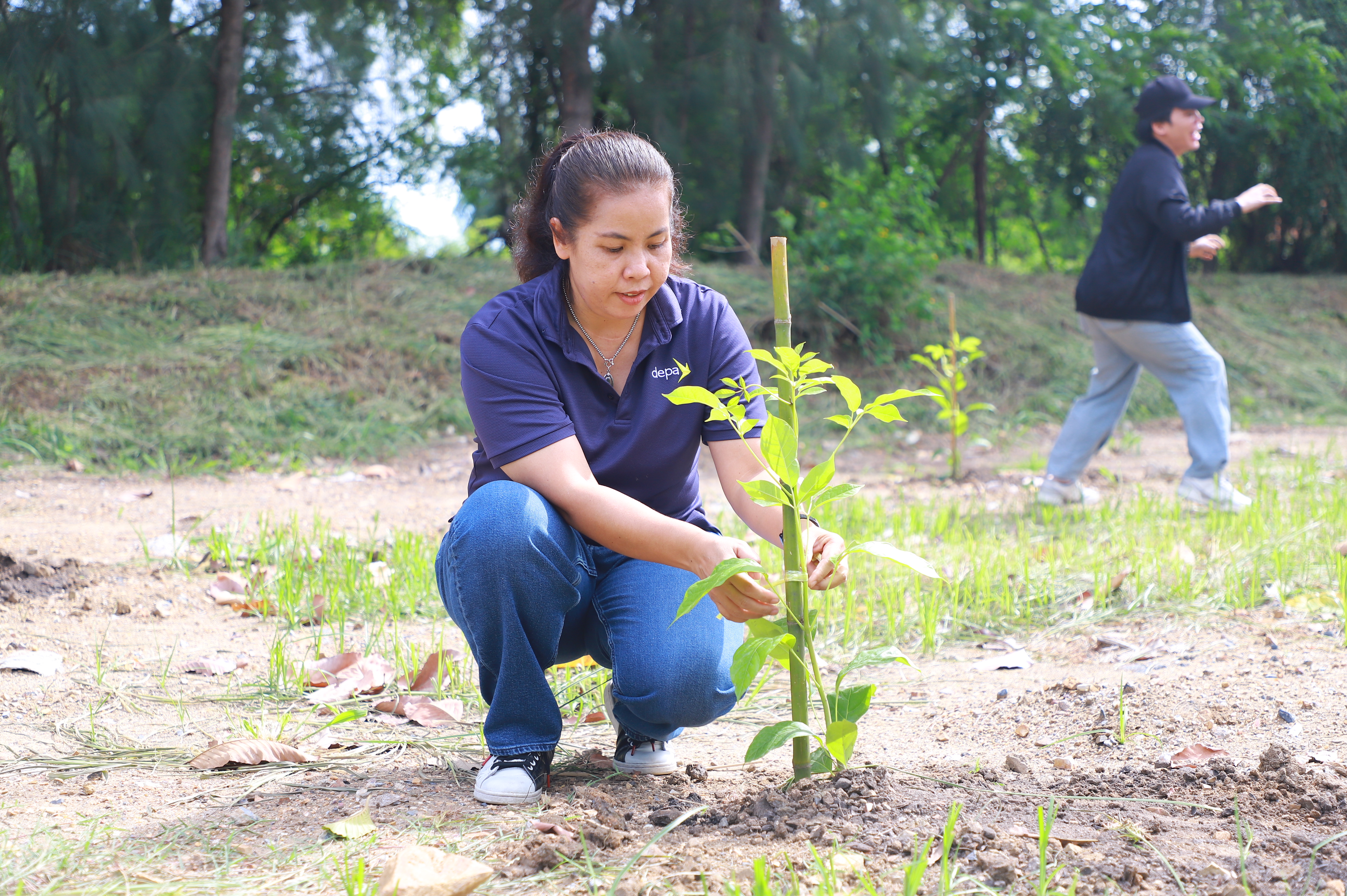 title - ส.ป.ก. - depa ร่วมใจปลูกต้นไม้ ภายใต้กิจกรรม CSR ปลูกต้นไม้ (Grow Green) เพิ่มพื้นที่สีเขียว ลด CO2 ณ ศูนย์ส่งเสริมและพัฒนาอาชีพเสริมนอกภาคการเกษตร
